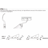 Insert PD12 compatible Satelec - WOODPECKER - ootopfti.com