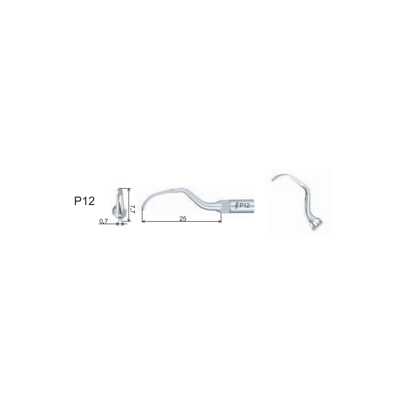 Insert PD12 compatible Satelec - WOODPECKER - ootopfti.com