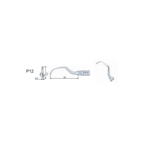 Insert PD12 compatible Satelec - WOODPECKER - ootopfti.com