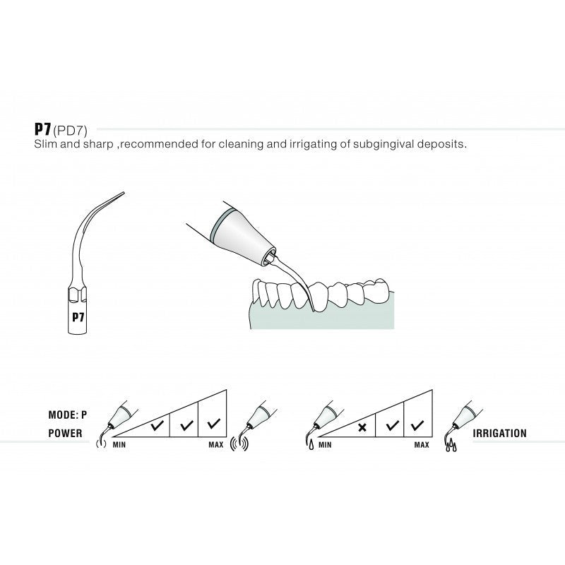 Insert PD7 compatible Satelec - WOODPECKER - ootopfti.com