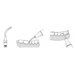 Insert GD6 compatible Satelec ultrarésistant UR - WOODPECKER - ootopfti.com