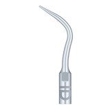 Insert PD4 compatible Satelec - WOODPECKER - ootopfti.com