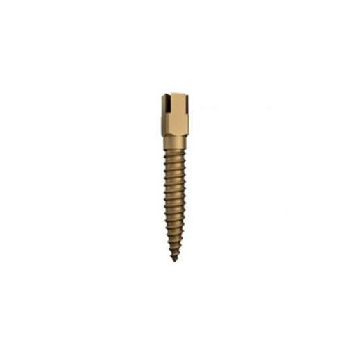 Tornillo Chicago chapado en oro