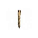 Tornillo Chicago chapado en oro